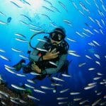 buceo