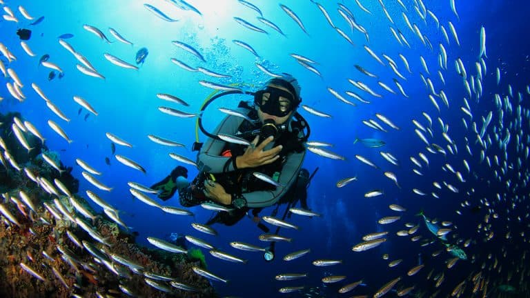 buceo