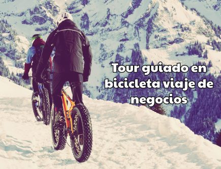 Tour guiado en bicicleta viaje de negocios