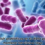 mantener virus a raya con probioticos