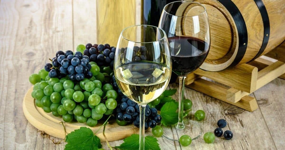 vinos catalanes