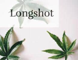 Hemp Leaves on a White Surface