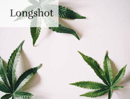 Hemp Leaves on a White Surface