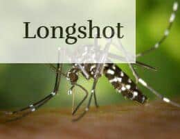 mosquito